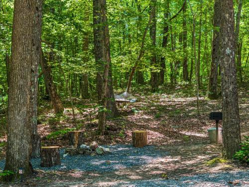 Coyote Cabin at Woodland Retreat at DeSoto beside DeSoto State Park