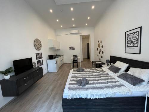 D58 Superior Apartments in the city center, Budapest