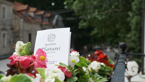 Hotel Platani - image 9