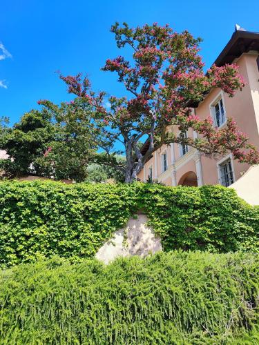  Residence Collecchio in Pescia