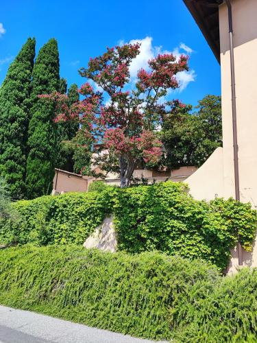  Residence Collecchio in Pescia