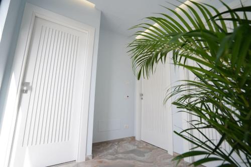 Harmony Tropea Rooms & Suites