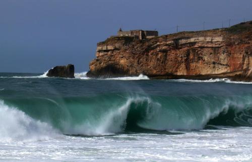 Boutique Hotel Marina S. Roque - image 5
