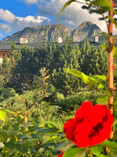 Apartament Leśny z kominkiem - Viva Pod Giewontem Apartamenty, Zakopane (Foto 10)