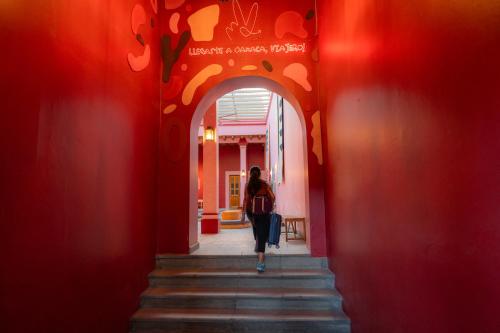Lobby, Viajero Oaxaca Hostel in Oaxaca
