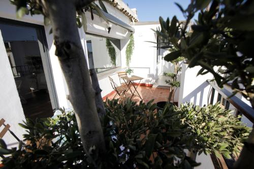 Ático Casa Lola, Córdoba (fotografie 10)