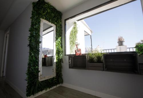 Ático Casa Lola, Córdoba (fotografie 2)