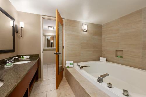 Holiday Inn Washington-Dulles International Airport an IHG Hotel - image 8