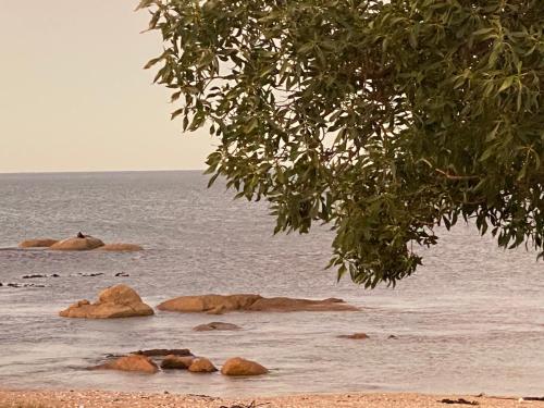 The Beach Shack Glamping & The Boat Shed