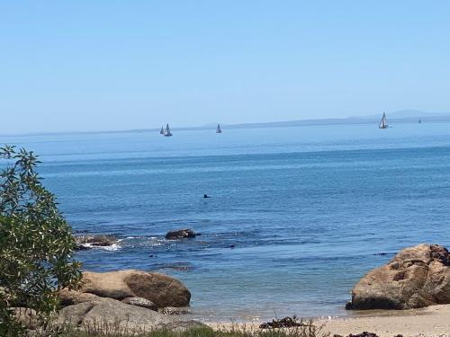 The Beach Shack Glamping & The Boat Shed