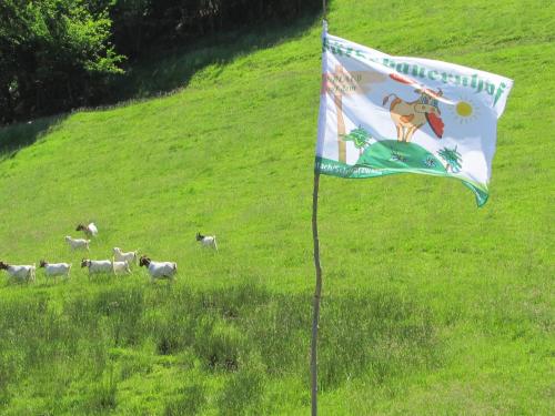 Wäldebauernhof - image 4