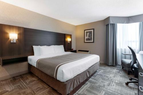 1 king bed