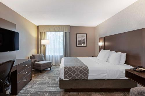 1 king bed, 1 sofa bed