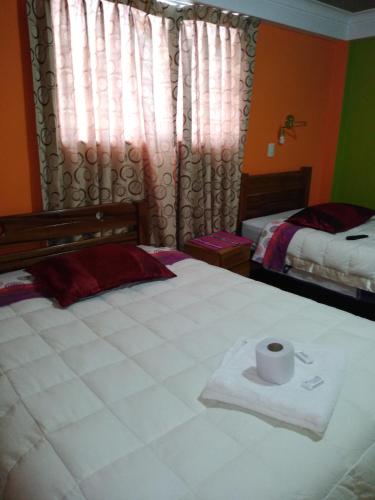 hostal andina joya