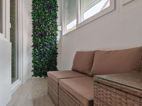 Apartments Ratomir - main image