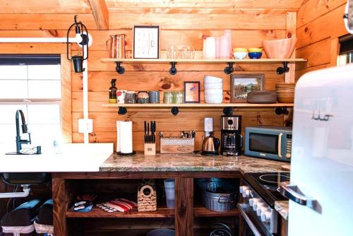 Chickadee Cabin in Chattanooga, USA
