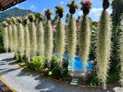 Amy Village Apartments & Digital Hub – Ko Samui, UT