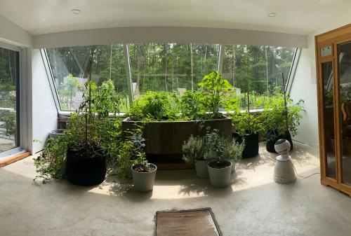 Σάουνα, Le Camp Caché Shefford (Le Camp Cache Shefford) in Μπρόμοντ