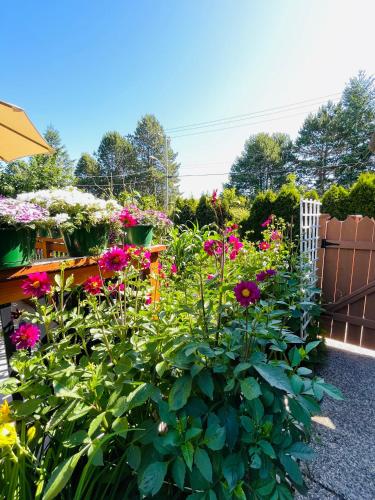 Garden home in Victoria