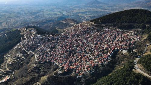 Hotel Mitikas