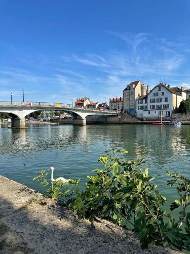 Le petit Marnais - 15mn Disneyland - 25mn Paris - Penchard