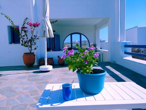 Serene, spacious Paros getaway gîte à louer Chrissi Akti 