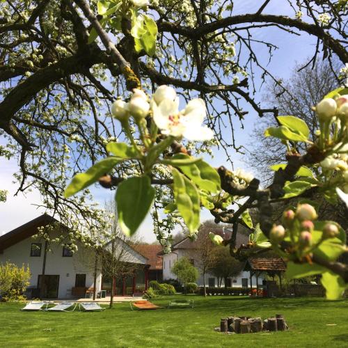  Sonnenblumenhof, Pension in Mühlheim bei Reichersberg