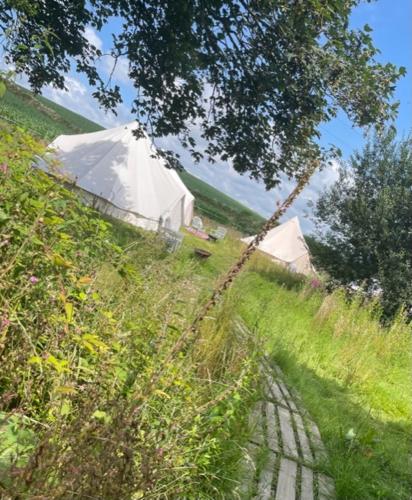 Penhallow House photo