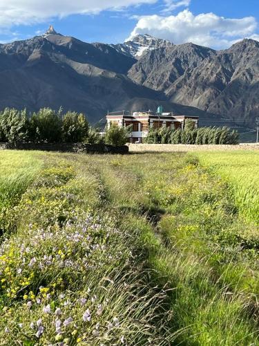 Guru view Home stay in Padum