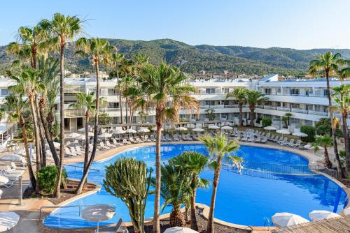 FERGUS Club Palmanova Park - 수영장