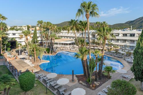 FERGUS Club Palmanova Park - 수영장