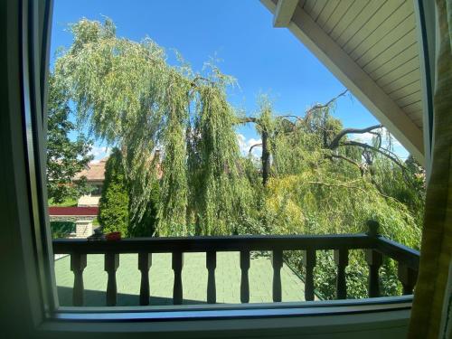 Skats, Fűzfa Apartman (Fuzfa Apartman) in Joseni