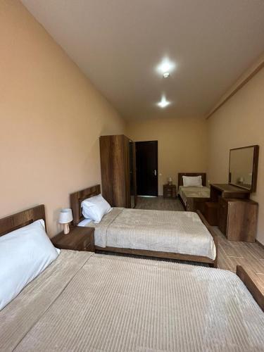 Hotel Mirioni in Oni