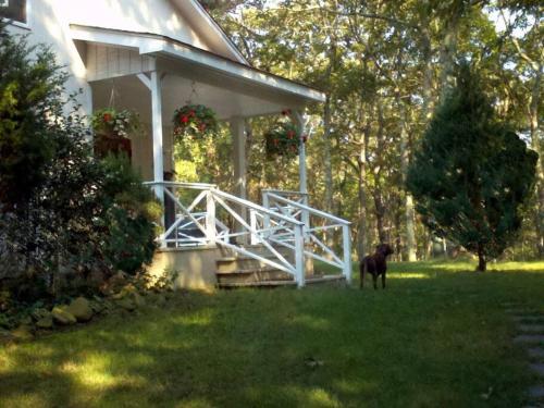 Private Home near Ocean Beaches, Nature Preserve in East Hampton, USA