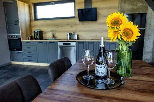 Koplietošanas atpūtas telpa ar TV, SM VIP HOUSES in Yagoda