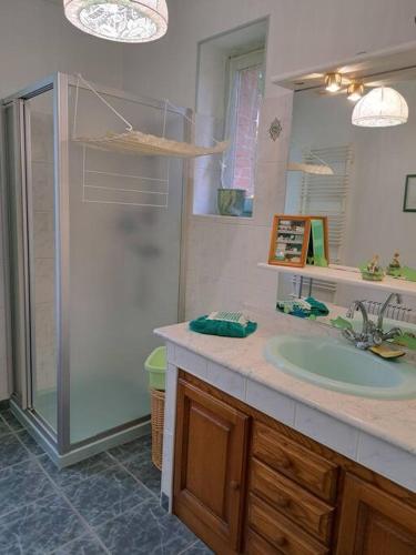 Bathroom, GITE DE CHOUVERT VERDIER Marie in Cornil