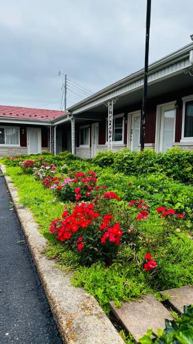 Murray Inn and Art Gallery - 전망