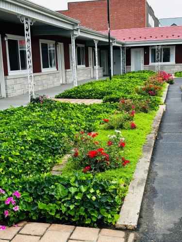 Murray Inn and Art Gallery - 전망