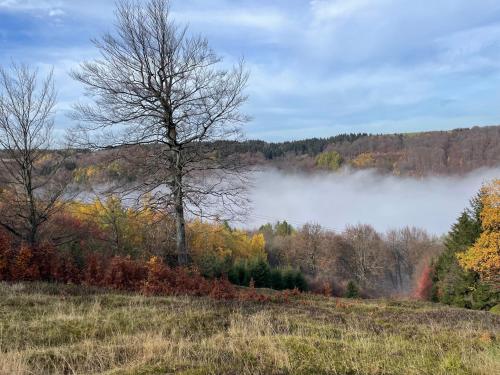 Jirotovy boudy I in Telnice