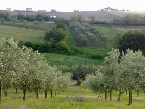 Agriturismo bio Verde Armonia