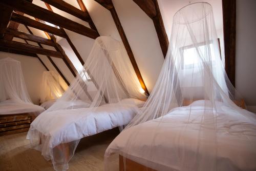 Women's Only Hostel - Female Only 5