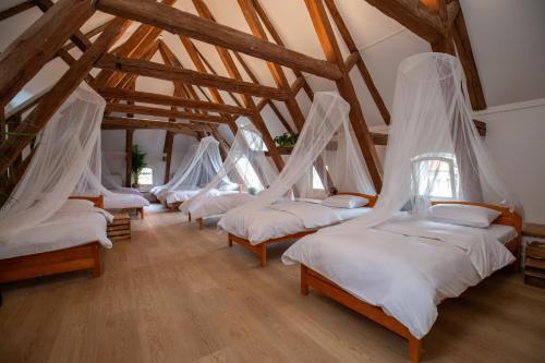 Women's Only Hostel - Female Only, Prague