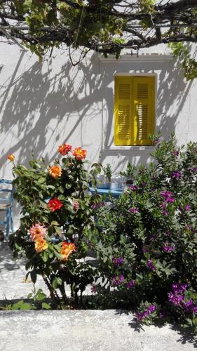 Artist Rooms - Triantafyllou Birth House