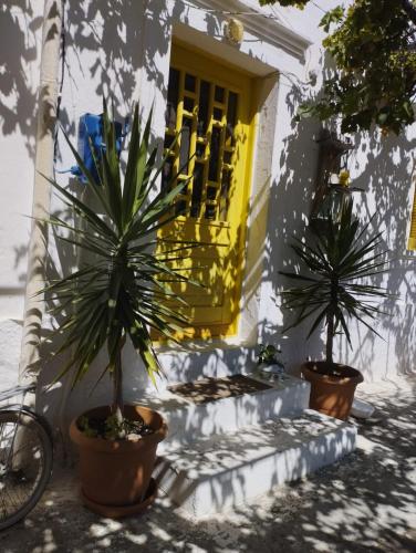 Artist Rooms - Triantafyllou Birth House
