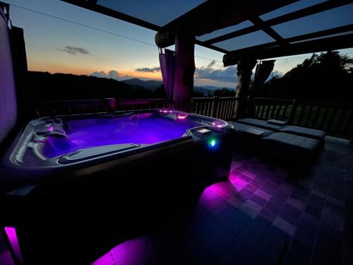 Holiday Home Ernest Železni with hot tub