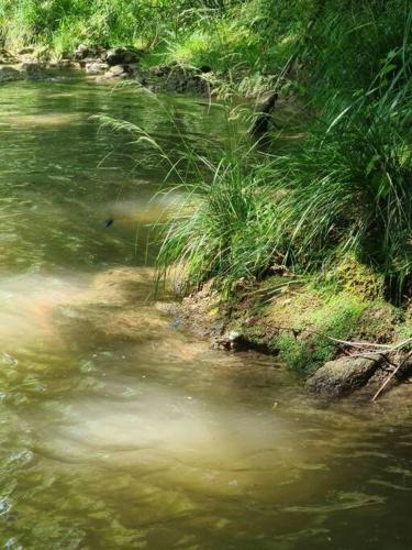 appartement 3 pce in Delemont