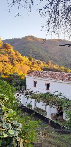 Finca Riolavar in Jubrique