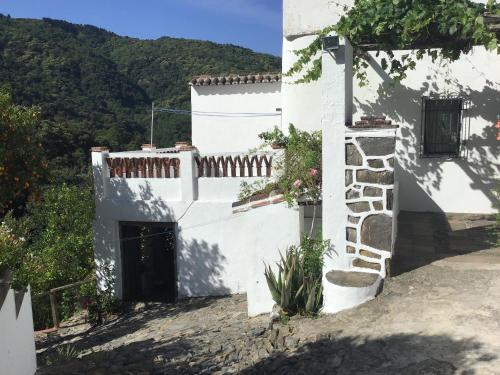 Finca Riolavar in Jubrique