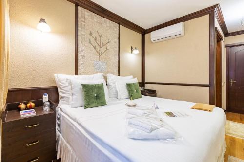 Best Point Hotel Sultanahmet,Istanbul, Istanbul (fotografie 9)