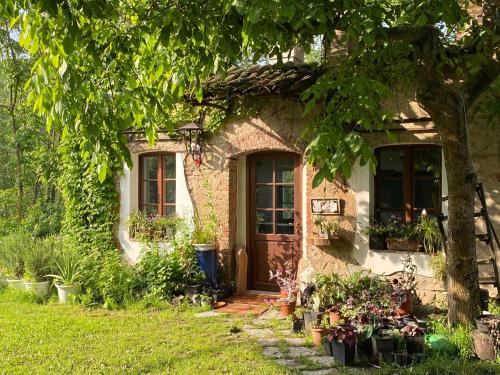 La Dimora delle Viole - Accommodation - Lauriano